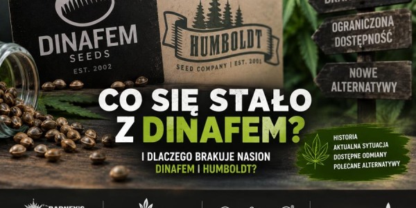 Co się stało z DINAFEM? Dlaczego brakuje nasion DINAFEM i HUMBOLDT?