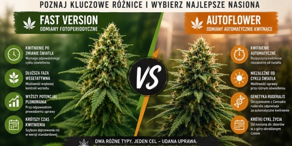 Fast Version czy Autoflower – czym się różnią?