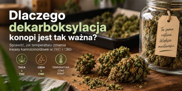 Dlaczego dekarboksylacja twoich konopi indyjskich jest taka ważna?
