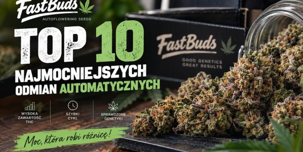 Od FastBuds: Top 10 najmocniejszych odmian.