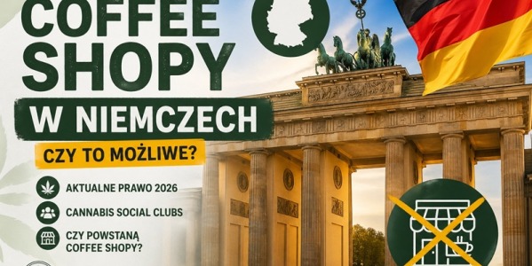 Coffee shopy w Niemczech 2026 – czy można kupić marihuanę?
