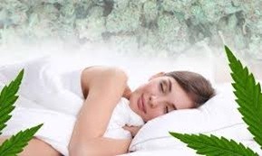 Czy marihuana pomaga na sen? THC, CBD i jakość snu