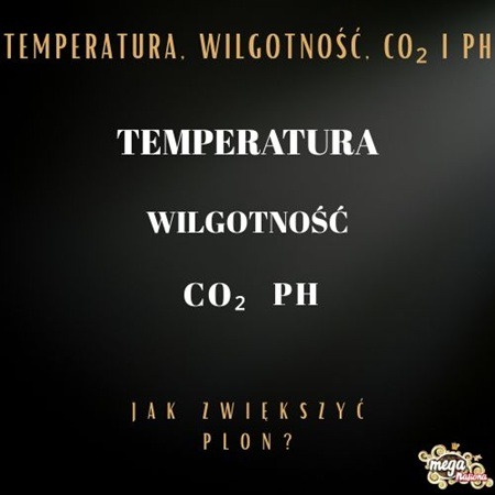 Warunki uprawy roślin – temperatura, wilgotność, pH i CO₂