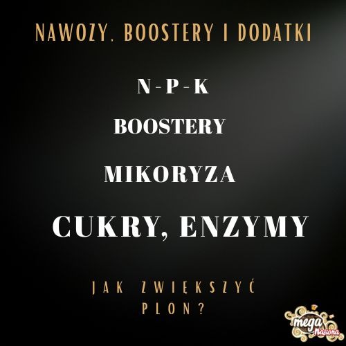 Nawozy dla roślin – rodzaje, NPK, mikoryza i enzymy