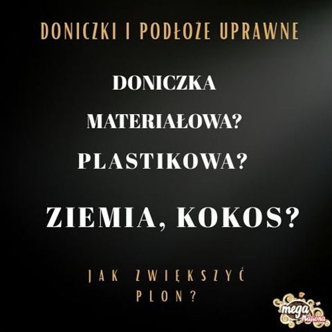 Doniczki i podłoża uprawne – jak wybrać odpowiednie?
