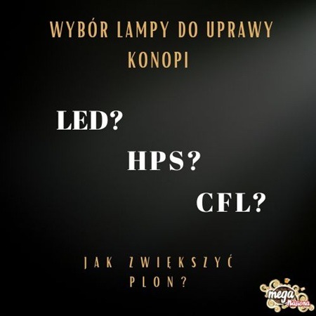 Jak wybrać lampę do uprawy indoor? Poradnik oświetlenia