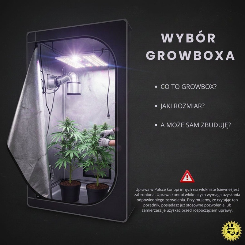 Growbox – jak wybrać odpowiedni namiot do uprawy indoor?