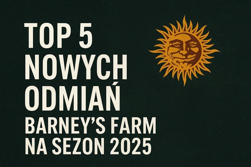 TOP 5 nowych odmian Barney’s Farm na sezon 2025