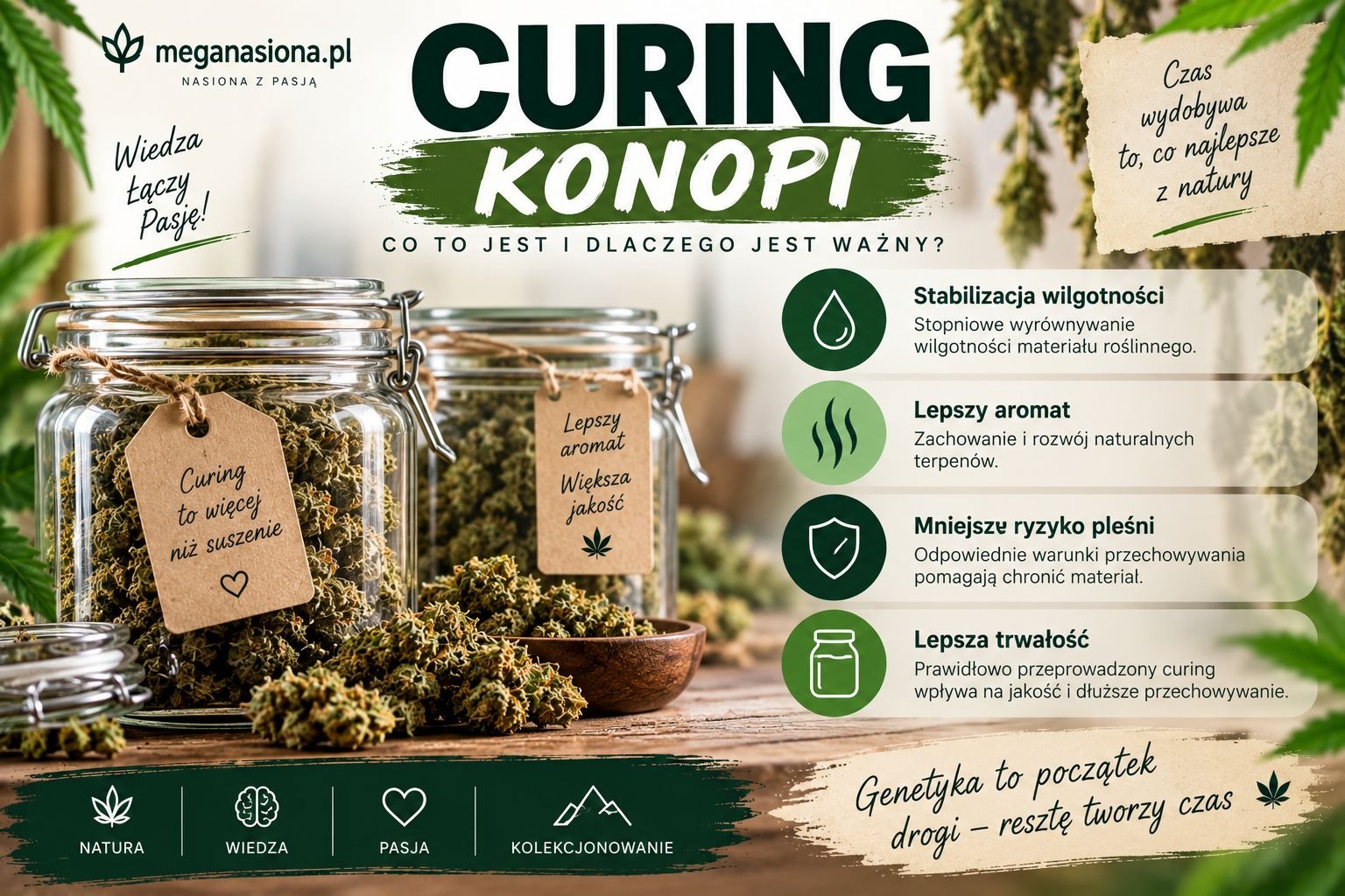 Curring - co to jest i czy warto go stosować?