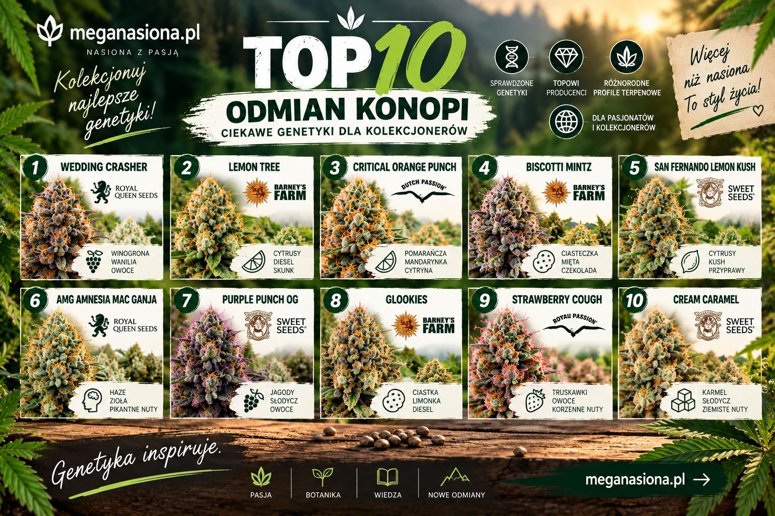 Najlepsze odmiany pełnosezonowe- manualne w 2022r.