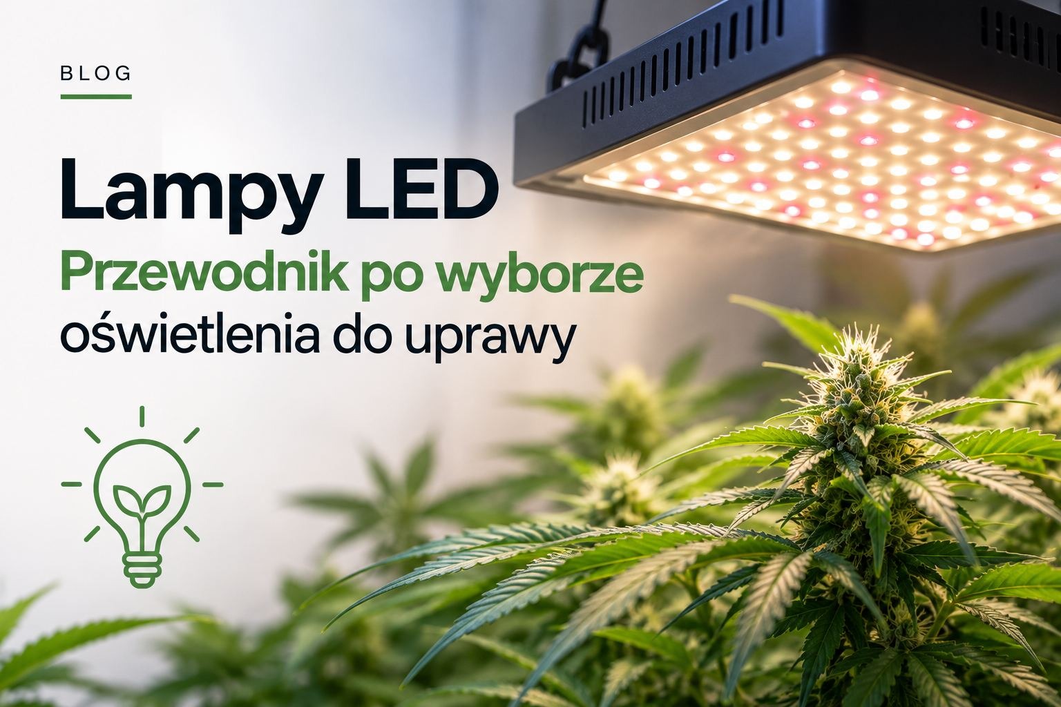 Lampy LED- przewodnik po wyborze lamp do uprawy roślin