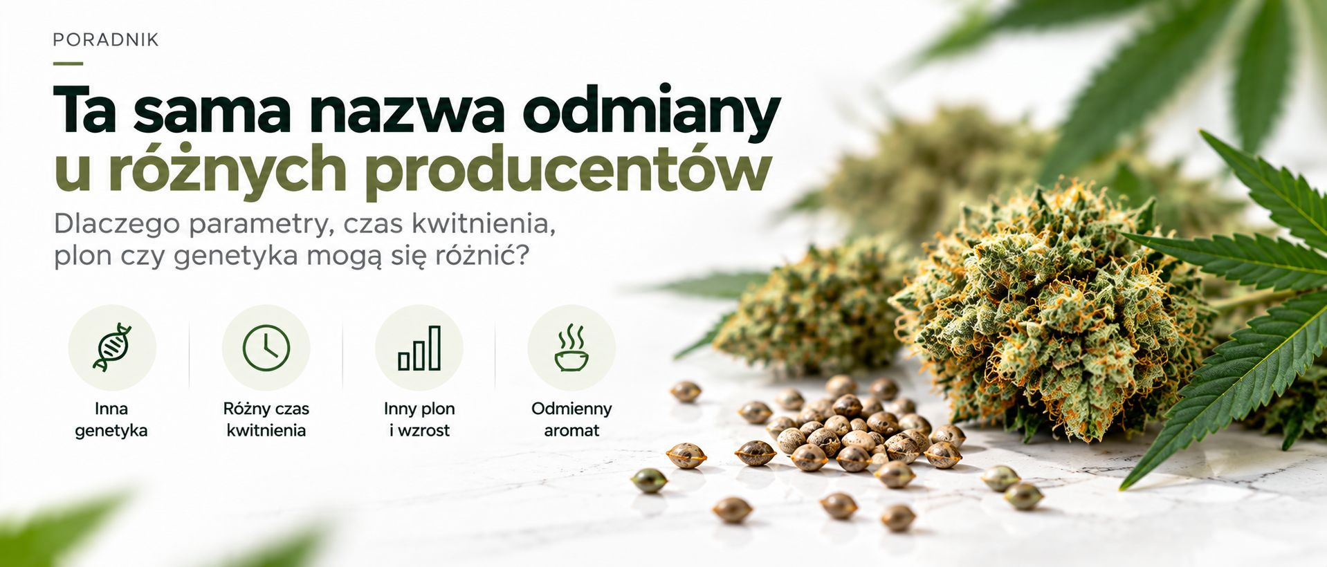 Dlaczego ta sama odmiana od różnych producentów różni się parametrami?