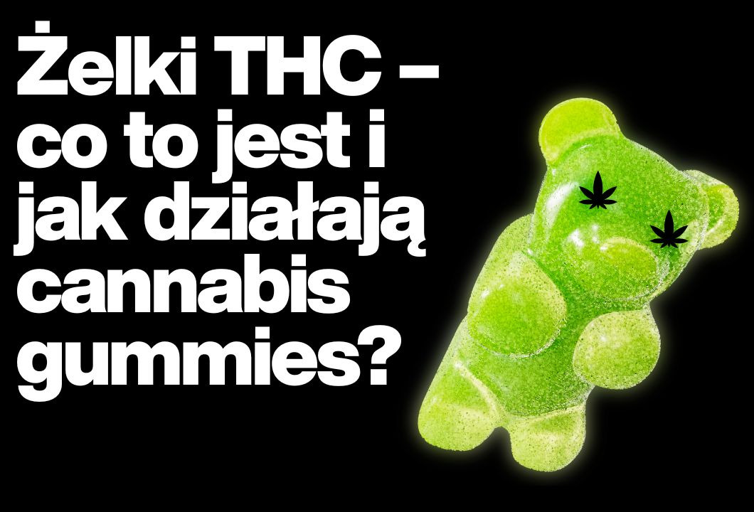 Żelki THC – co to jest i jak działają cannabis gummies?