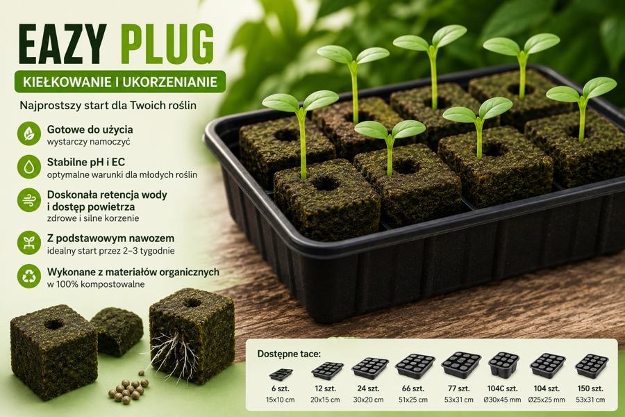 Eazy Plug – co to jest, jak używać i dlaczego warto?
