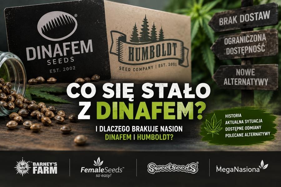 Co się stało z DINAFEM? Dlaczego brakuje nasion DINAFEM i HUMBOLDT?