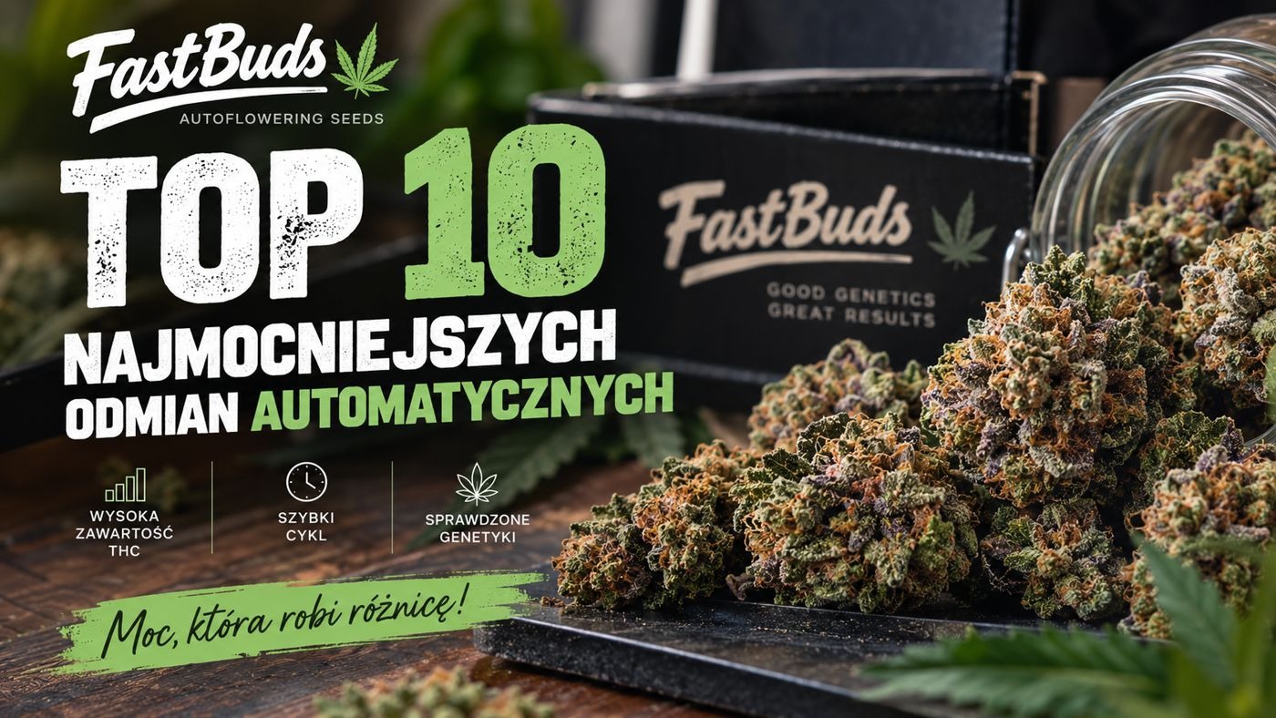 Od FastBuds: Top 10 najmocniejszych odmian.