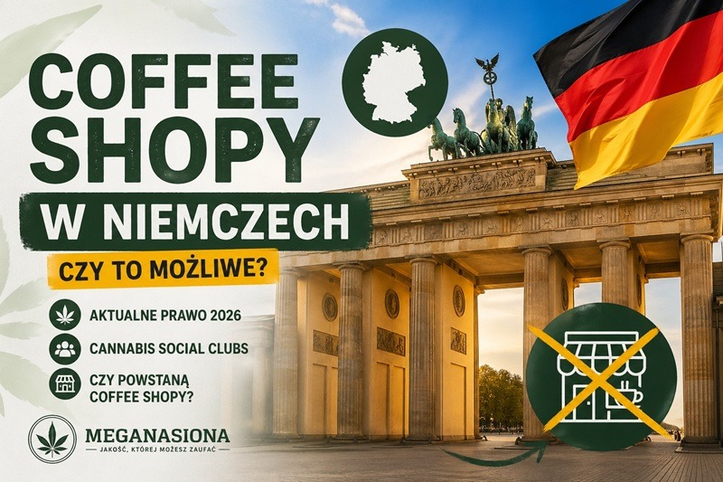 Coffee shopy w Niemczech 2026 – czy można kupić marihuanę?